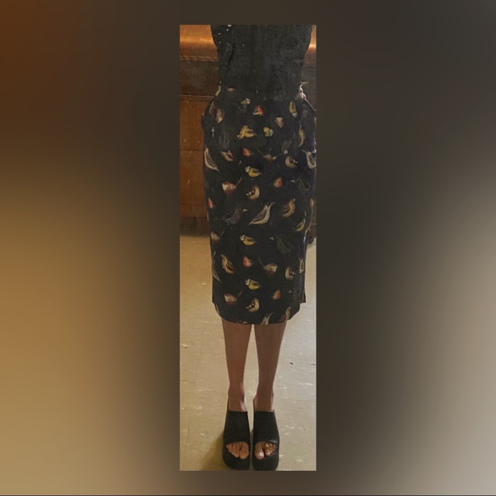 Cute vintage-style pencil skirt with birds! It’s brand new, never wore it.
